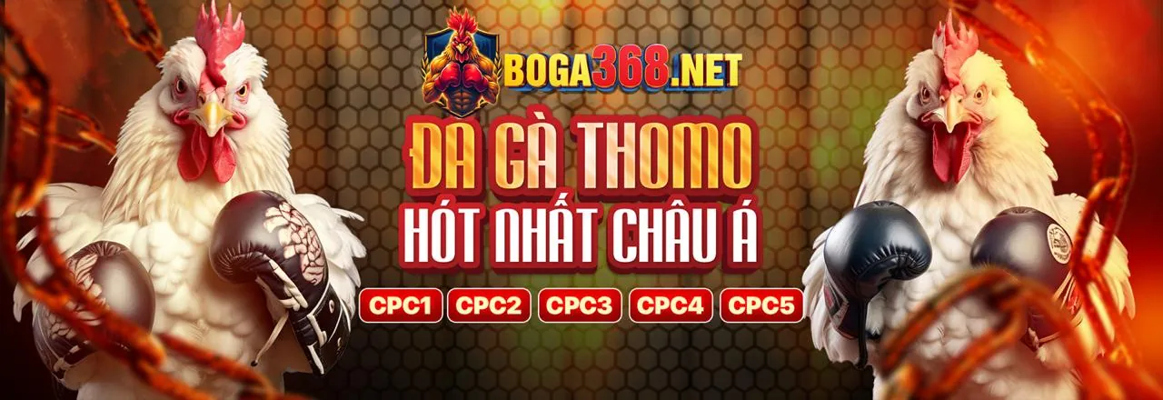 Đá Gà Trực Tuyến 32win11 Thể Thao